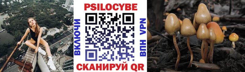 Галлюциногенные грибы Psilocybine cubensis  наркотики  Трёхгорный 
